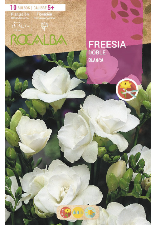 FREESIAS DOBLES -BLANCO