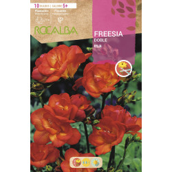 FREESIAS DOBLES -ROJO