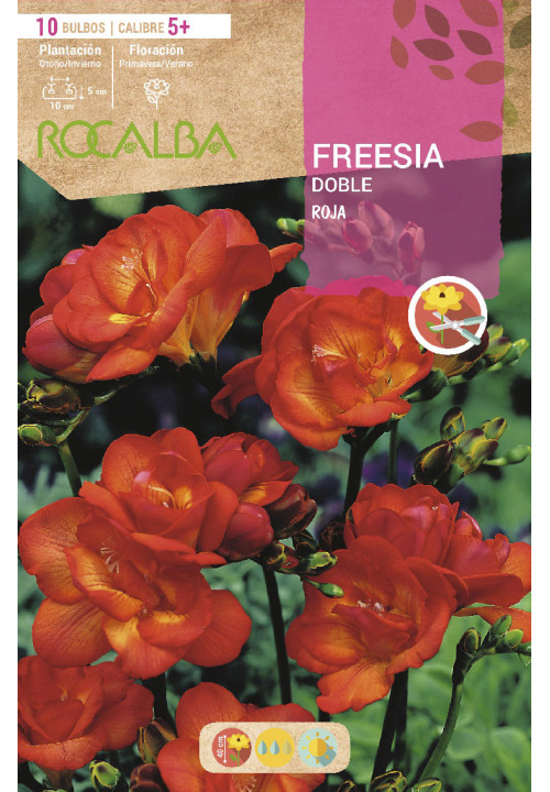 FREESIAS DOBLES -ROJO