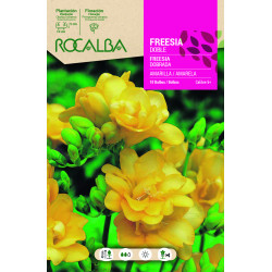 FREESIAS DOBLES -AMARILLO