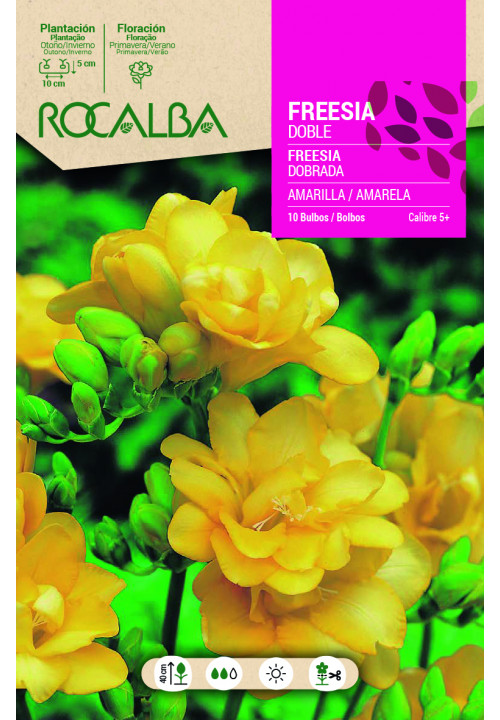 FREESIAS DOBLES -AMARILLO