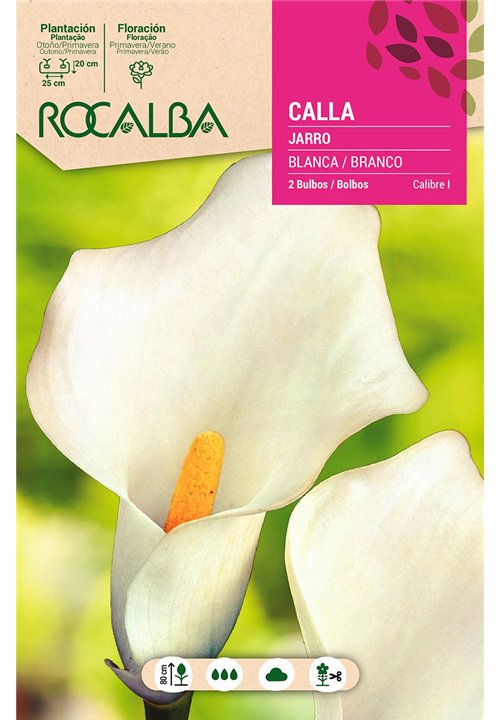 CALLAS -BLANCO