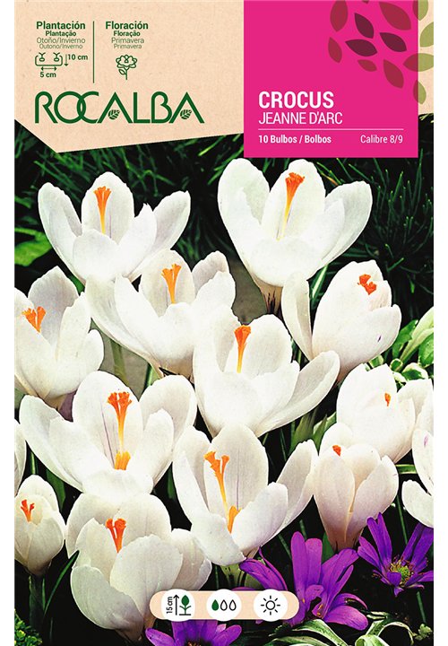 JEANNE D'ARC -BLANCO Y LILA