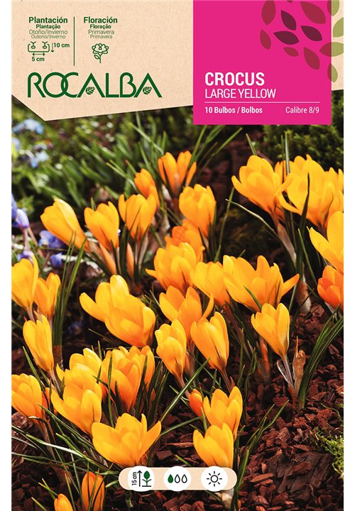 LARGE YELLOW -AMARILLO