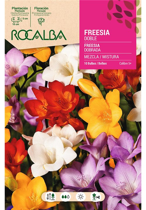 FREESIAS DOBLES -MEZCLA DE COLORES