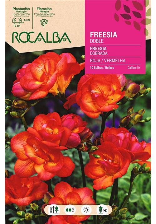 FREESIAS DOBLES -ROJO