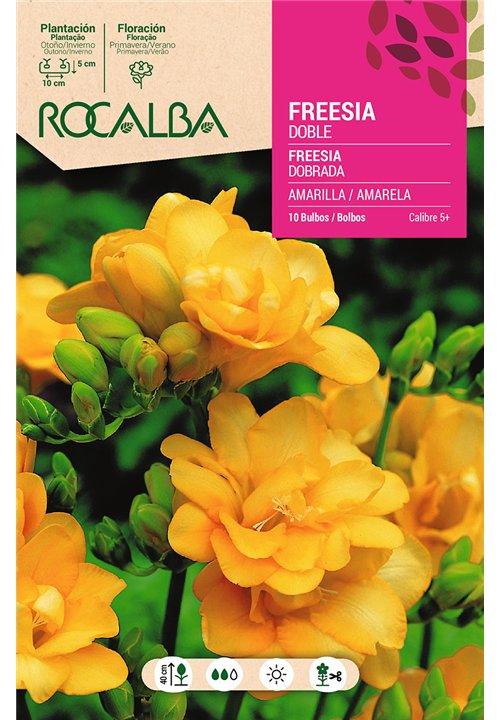 FREESIAS DOBLES -AMARILLO