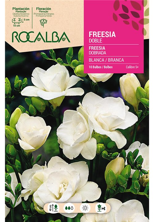 FREESIAS DOBLES -BLANCO