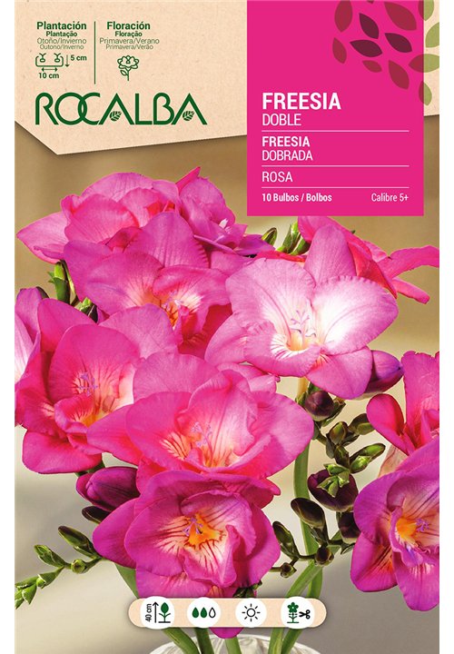 FREESIAS DOBLES -ROSA
