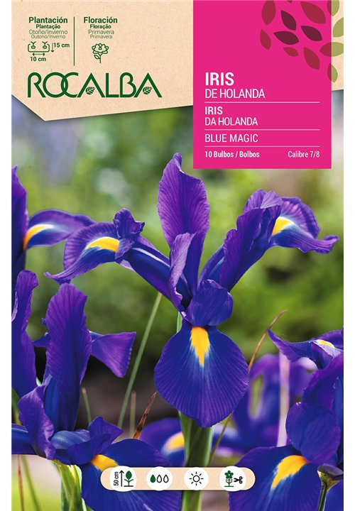 BLUE MAGIC -AZUL INTENSO