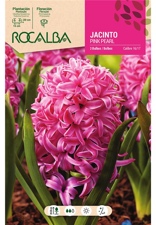 PINK PEARL -ROJO CLARO