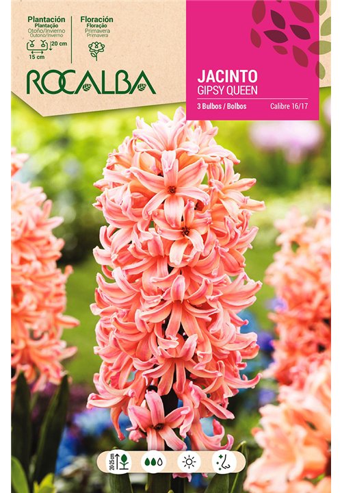 GIPSY QUEEN -NARANJA