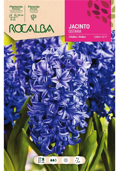 OSTARA -AZUL CELESTE