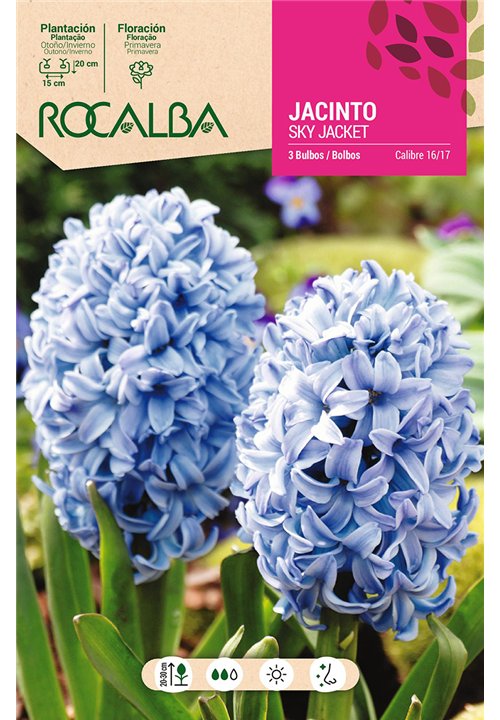 SKY JACKET -AZUL CLARO