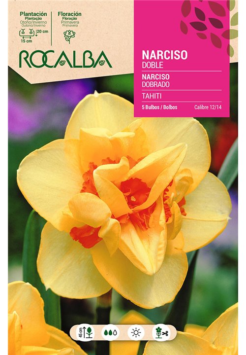 TAHITI -AMARILLO CENTRO NARANJA