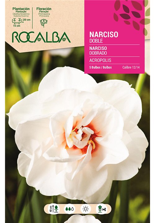 ACROPOLIS -BLANCO CENTRO ANARANJADO