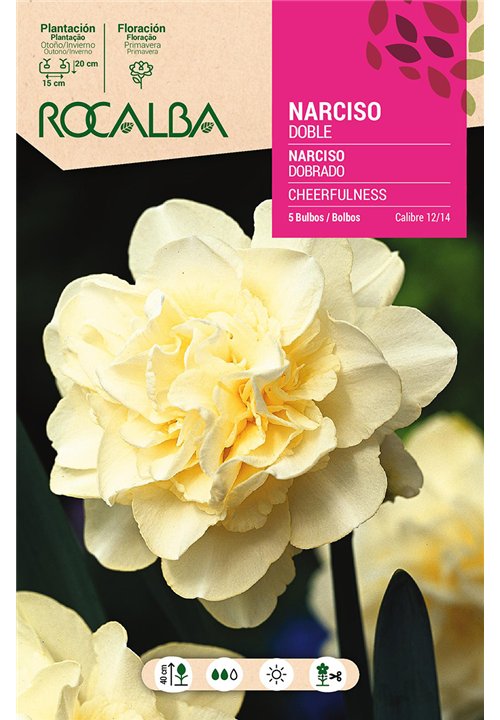 CHEERFULNESS -BLANCO