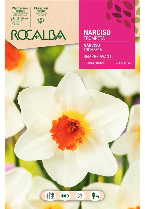 SEMPRE AVANTI -BLANCO TROMPETA NARANJA