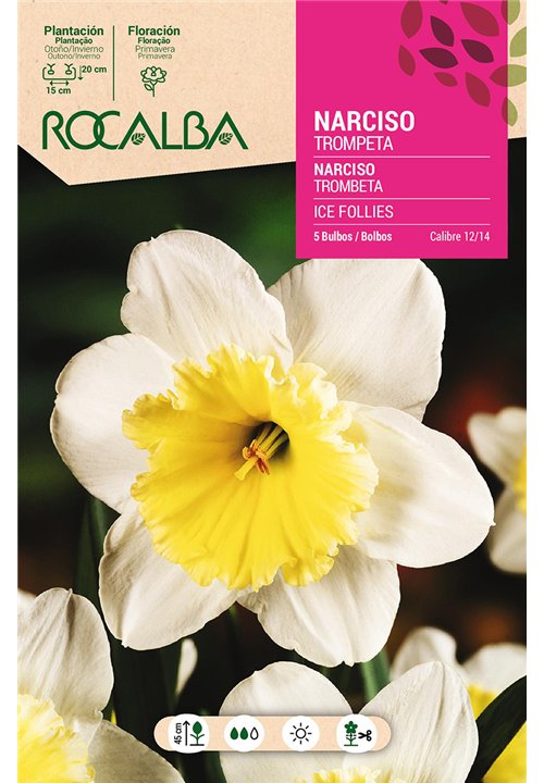 ICE FOLLIES -BLANCO CR.CORAZON NARANJA