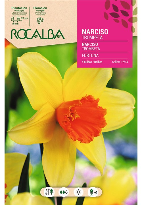 FORTUNA -AMARILLO TROMPETA NARANJA