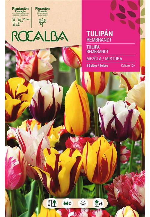 REMBRANDT -MEZCLA DE COLORES