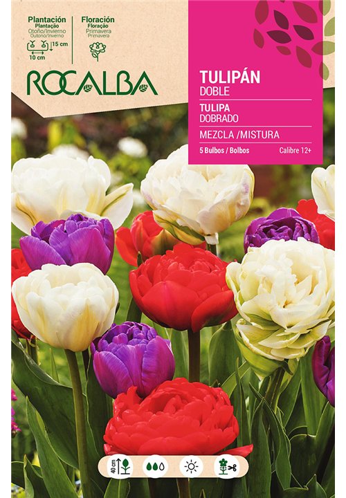 TULIPAN DOBLE -MEZCLA DE COLORES