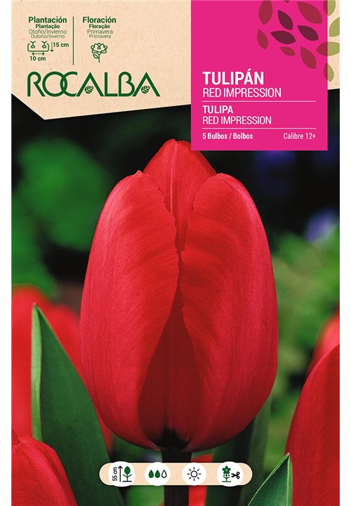 TULIPAN RED IMPRESSION -ROJO-