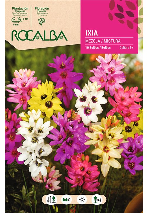 IXIAS -MEZCLA DE COLORES