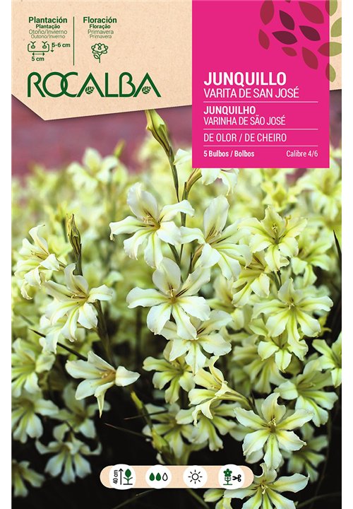 JUNQUILLOS DE OLOR -Varita de San Jose-