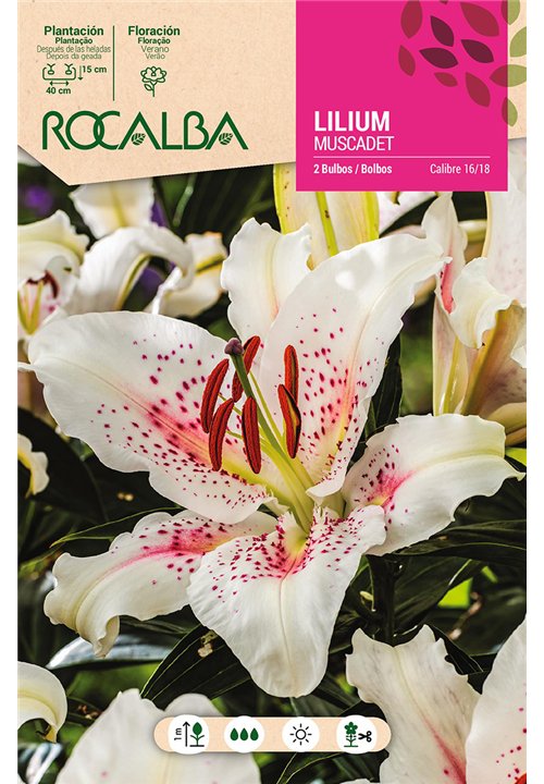 MUSCADET -BLANCO, PUNTOS ROJOS