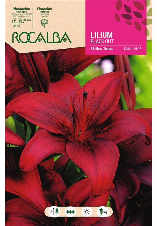 BLACK OUT -ROJO OSCURO