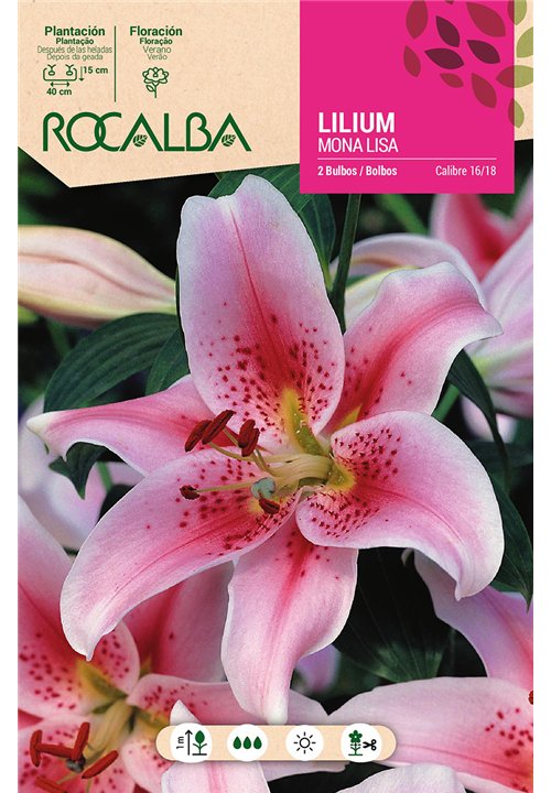 MONA LISA -LILA SUAVE, PUNTOS ROJOS