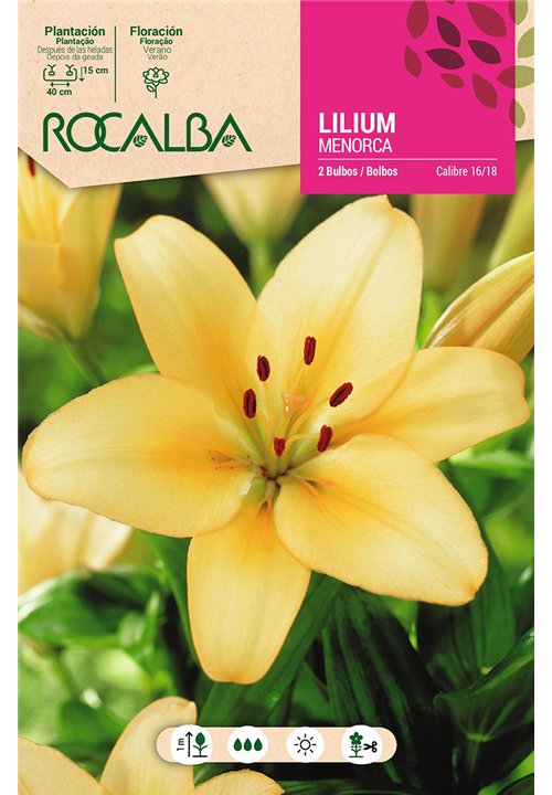 MENORCA -AMARILLO SUAVE