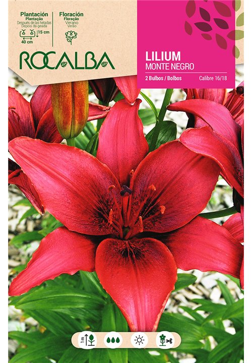 MONTE NEGRO -ROJO VIVO