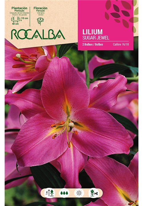 SUGAR JEWEL -ROSA FUERTE