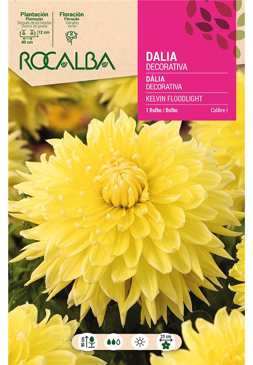 KELVIN FLOODLIGHT -AMARILLO