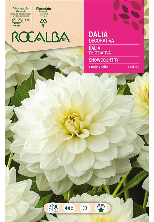 SNOWCOUNTRY -BLANCO