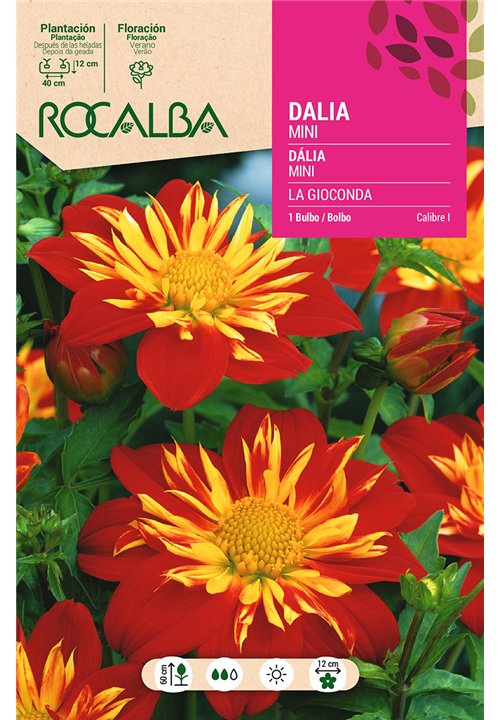 LA GIOCONDA -ROJO, CENTRO AMARILLO