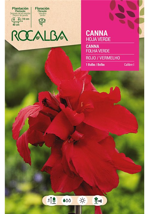 CANNAS -ROJO