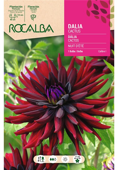 NUIT D'ETE -ROJO OSCURO