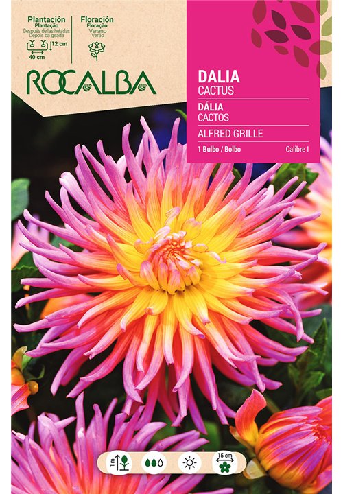 ALFRED GRILLE -ROSA SALMON, C.AMARILLO