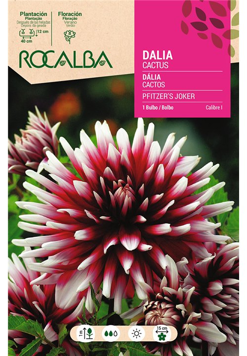 PFITZER'S JOKER -ROJO OSCURO,P.BLANCAS