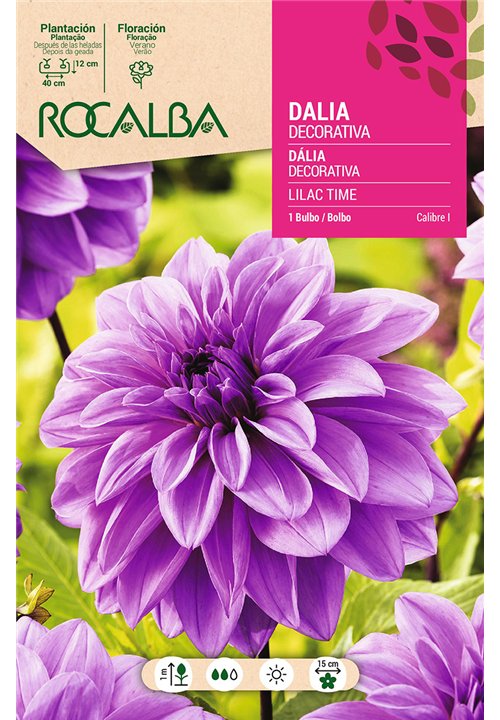 LILAC TIME -LILA PURPURA