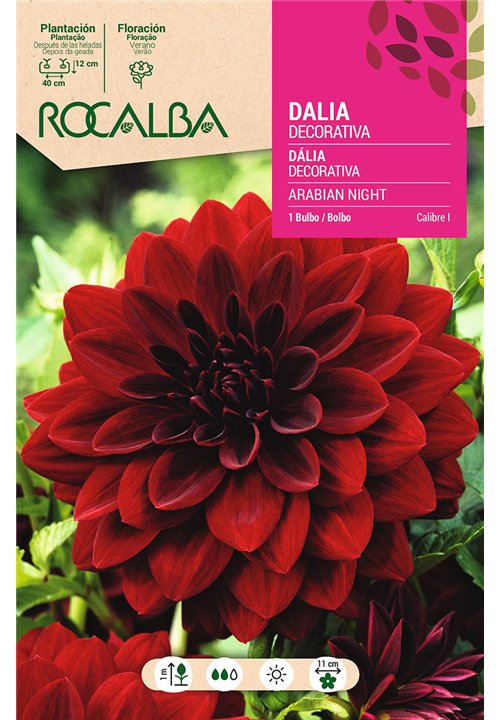 ARABIAN NIGHT -CASI NEGRO, ROJO OSCURO