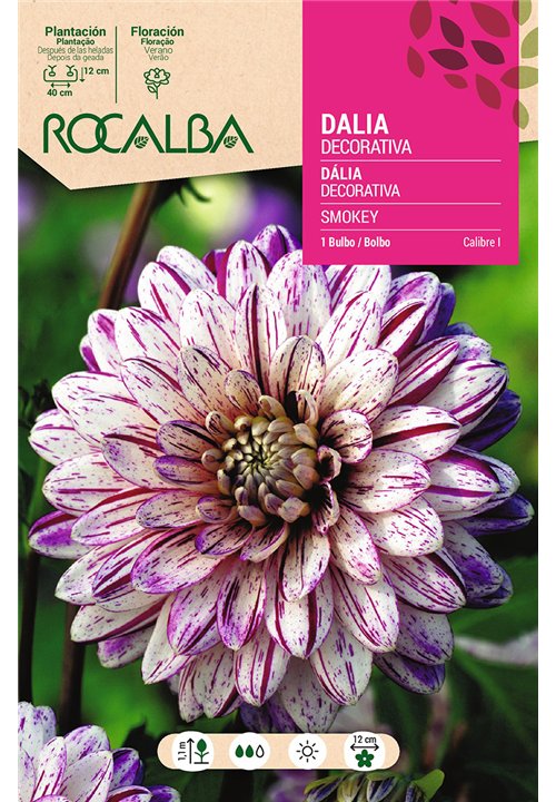 SMOKEY -BLANCO CON LILA