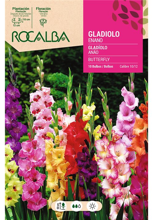 BUTERFLY -MEZCLA DE COLORES