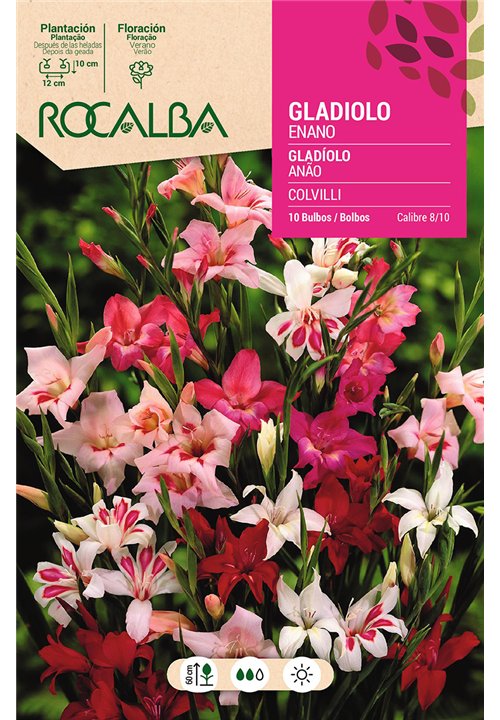 COLVILLII -MEZCLA DE COLORES