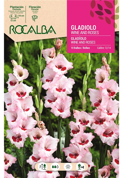 WINE AND ROSES -ROSA, CENTRO CARMIN