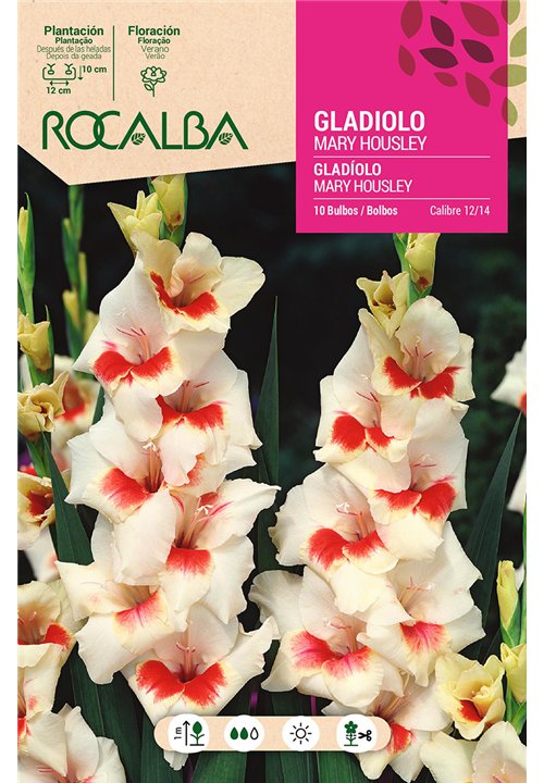 MARY HOUSLEY -BLANCO, CENTRO ROJO