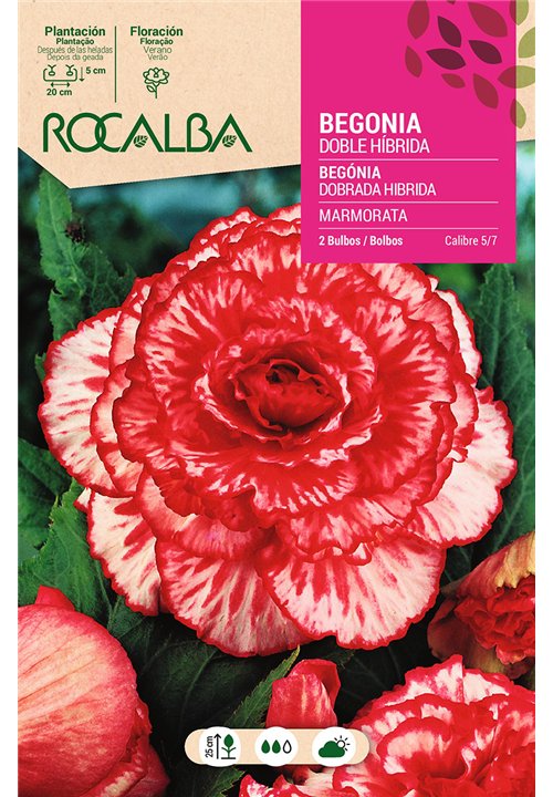 DOBLE MARMORATA -BLANCO,JASPEADO ROJO